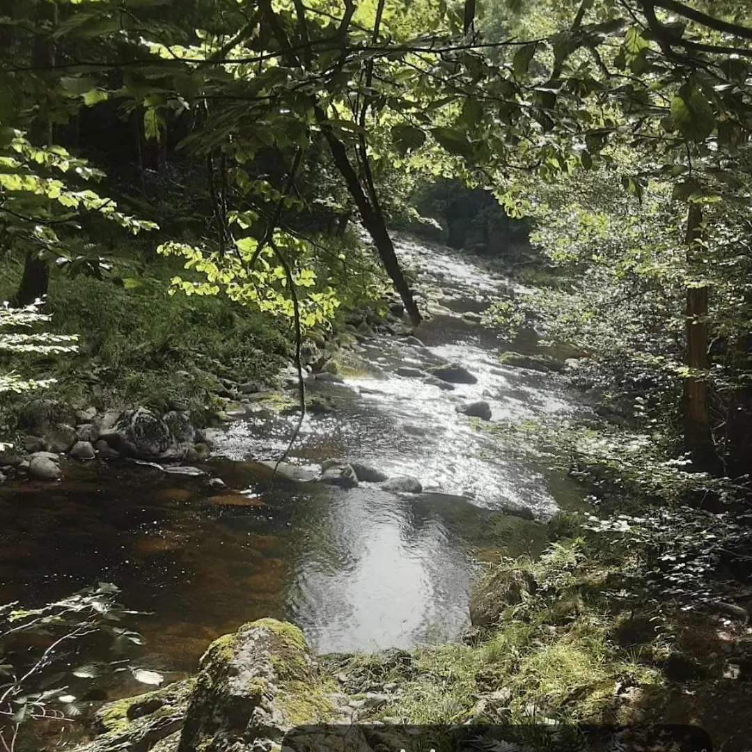 Grosszuegige Ferienwohnung Mit Rundum-Blick Hinterschmiding 0*,  Tyskland